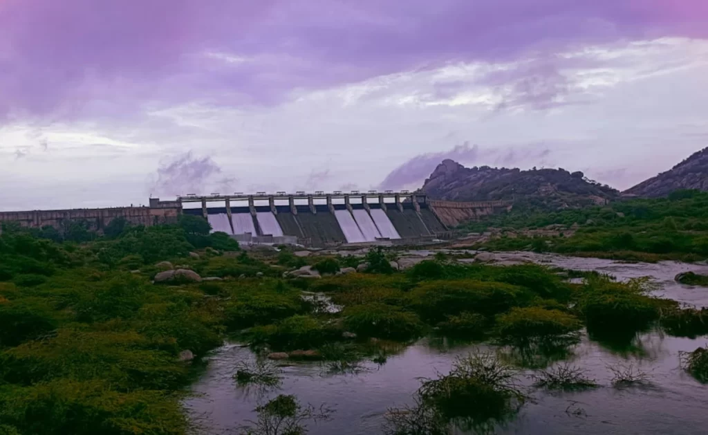 Jawai Bandh Gates